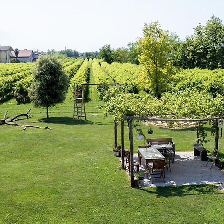 Agriturismo Da Zeffi Spresiano Bagian luar foto