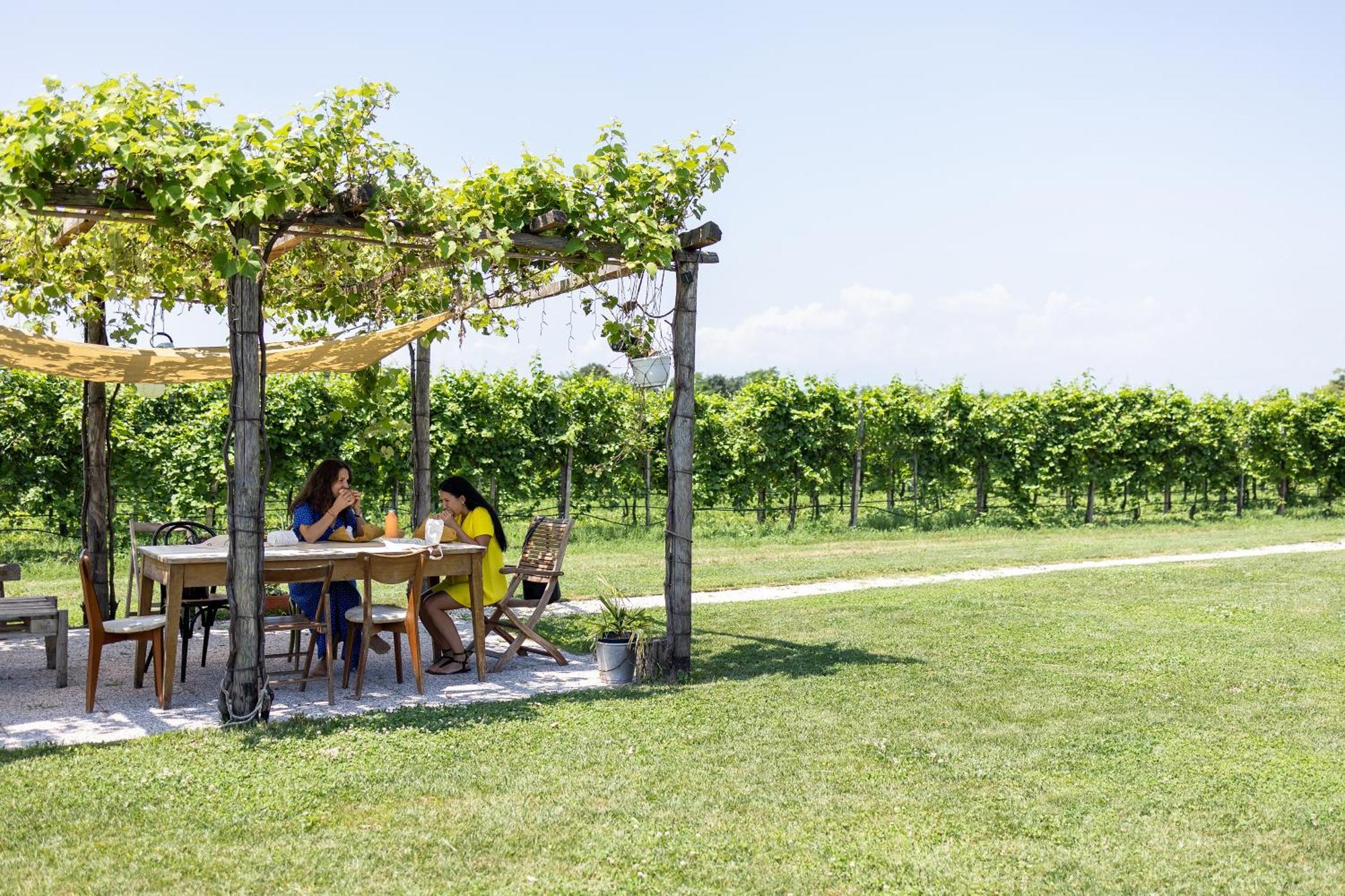 Agriturismo Da Zeffi Spresiano Bagian luar foto